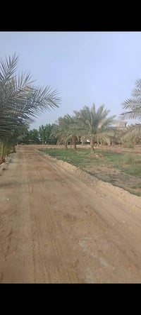 شارع المعمل • ١٤٤٠م • واجهة ١٨م