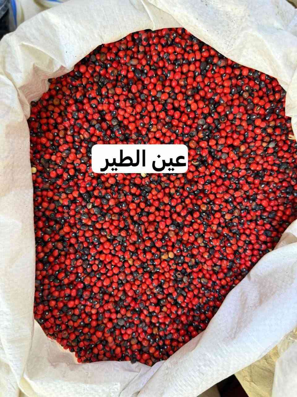 معشب وعطارية • أعشاب وزيوت • صلاح الدين العلم