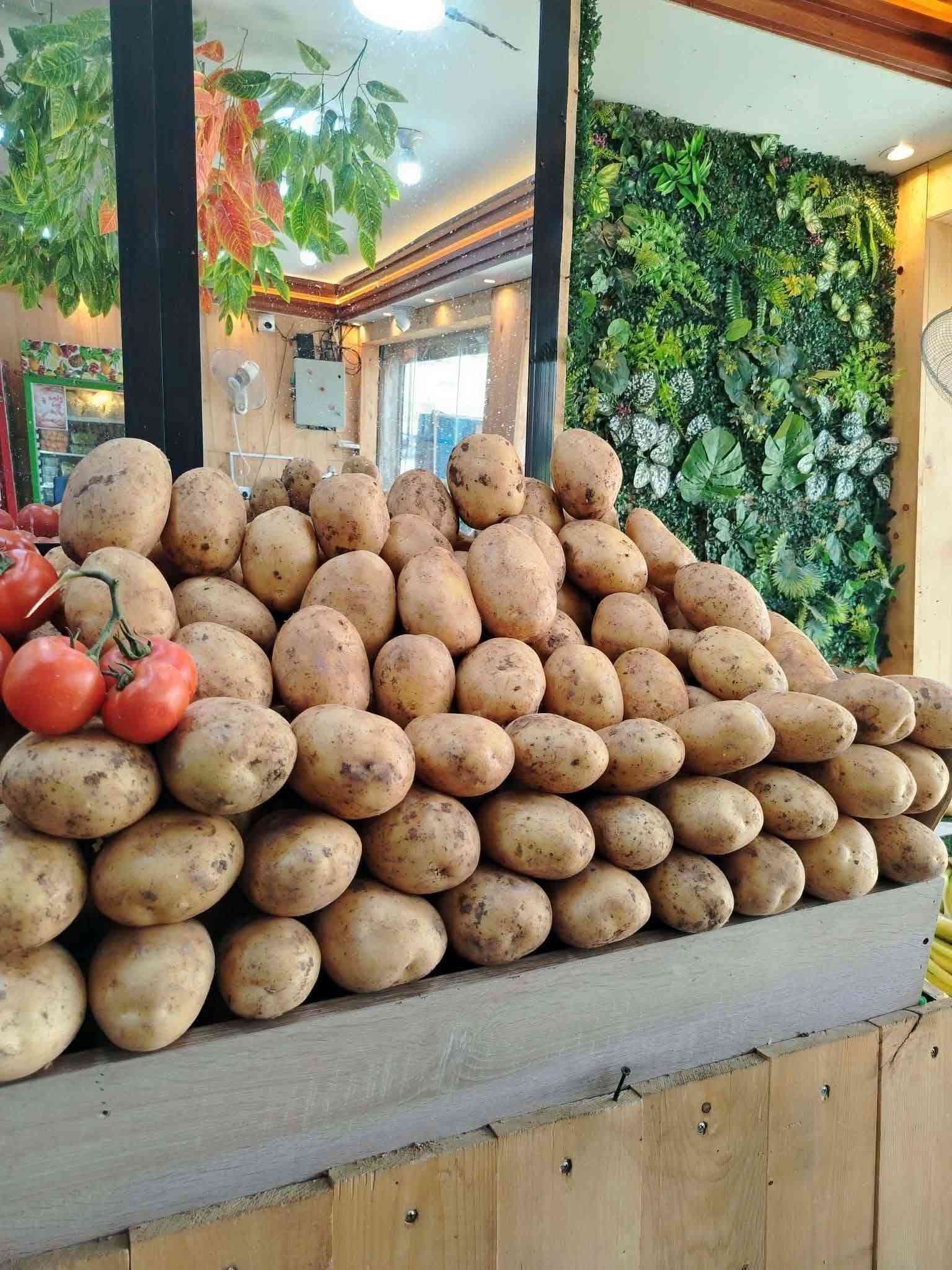 حياكم الله من علوة زاد الخير
أسعار يوم الاربعاء والصلاة على النبي

الخضار

🍅 طماطة عراقية — 750
🍅 3 كيلو طماطة رايجة — 1000
🥒 خيار ناعم درجة أولى — 1000
🥒 2 كيلو خيار وسط — 1500
🥔 بطاطا عراقية درجة أولى — 1250
 بطاطا عراقيه درجه ثانيه ب 1000
🍆 أسود عراقي — 1000
🧅 بصل بارد كرستال — 1000
🧅 بصل أصفر بارد — 1000
🧅 بصل أخضر — 1000
لوبيا عراقية — 1500
باميا عراقية — 3500
شجر عراقي ناعم — 1000
فلفل حار وبارد — 1500
فلفل ألوان علبة — 1000
فطر علبة — 2000
جزر تركي — 1500
قرنابيط — 2000
فاصوليا خضراء — 2500
شونذر — 1000
خس مستورد قطعة — 1000
لهانة حمرة وبيضة — 1000
 ذره عرانيص شمالي ب 1000 

الفواكه

🍌 موز — 2000
حامض عراقي — 3000
حامض عراقي ناعم — 2000
حامض أفريقي — 2000
حامض سوري أخضر — 1500
رطب برحي — 2500
 خلال برحي ب 2000
تمر خستاوي مال كليج — 1500
رمان يمني أحمر وحلو — 3000
رمان مصري — 1500
كيوي تركي — 2000
عنب حلواني — 1000
عرموط حلو — 2500
تفاح أخضر سكري — 1500
تفاح أحمر إيطالي — 1500
تفاح أصفر — 1500
تفاح خد وخد — 1500
عنجاص عين الجمل — 1000
الو أحمر — 1000
خوخ مسكي — 1500
خوخ صوفي — 1500
برتقال تركي عسل — 2000
ركي أحمر وحلو — 1000
بطيخ عسل — 1000

الخضرة والمواد

سبيناغ مع اله — 3000
ريحان 8 — 1000
نعناع 8 — 1000
معدنوس 8 — 1000
كرفس 8 — 1000
رشاد باكة دبل — 500
سلك — 1000
شبنت — 500
خبز بيت جديد 5 — 1000
 طرشي الموصل علبه كيلو بلف ونص 

🚕 التوصيل داخل مجمع بسماية A / B — 1000 دينار

📞 واتساب: ***********

نص مكتوب في الصور:
- إرسال رسالة...
- رطب مكتوم