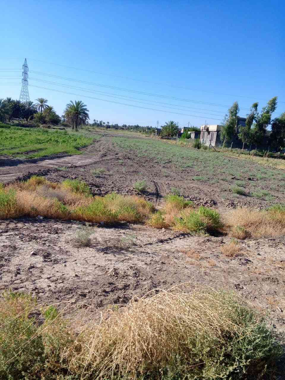 عندي 3ونص دونم للبيع اليوسفيه منطقه السيد عبدالله ابن الحسن عليه السلام
ملاحظه /التفاصيل خاص 
***********
***********
