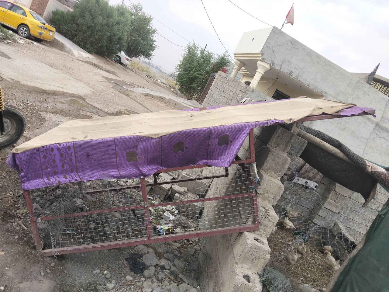 سقيفه • ستوته • دايوان