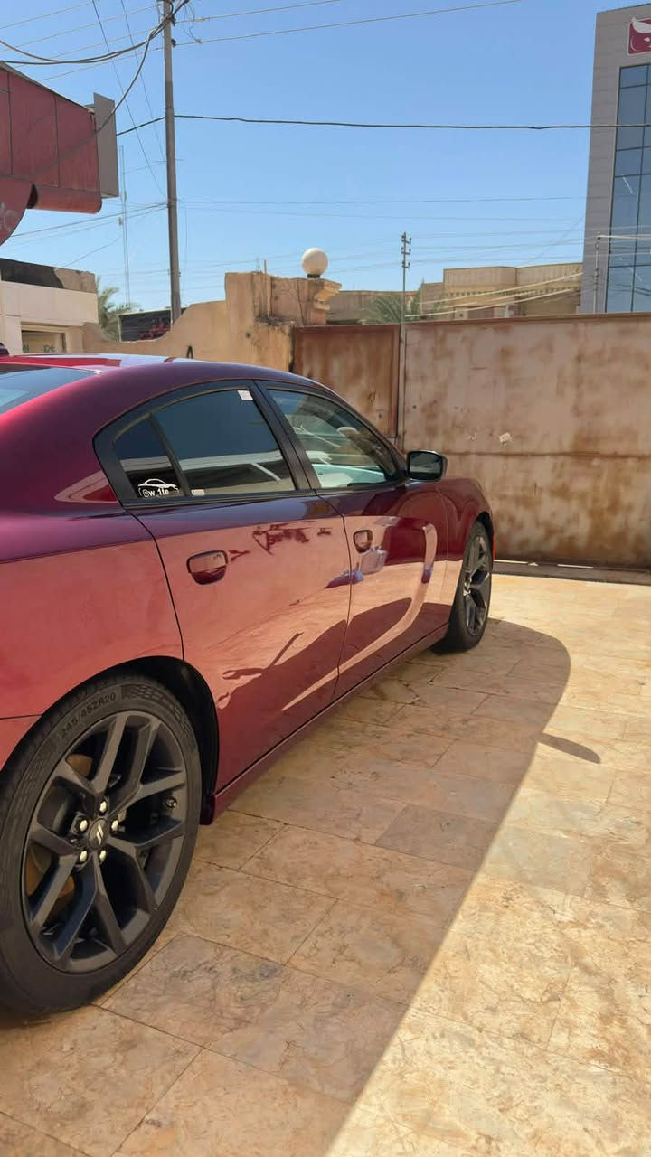 سلام عليكم للبيع جارجر sxt بلاك توب 2023 رقم بغداد الدولي بأسمي مداور ثاني يوم لون كرزي 🍒 كفالة عامة تقرير تعمل و تسير ماشية 44 ميل السيارة جاهزة حدادية و تخم تاير حديد و تبريد قطعتين و شاشة جبيرة تحكمات ستيرن ويل 20 و باقي مواصفات البلاك توب معروفة السعر 235 و بيها مجال بسيط للشراي مكاني ناصرية مركز.
للأستفسار *********** .
