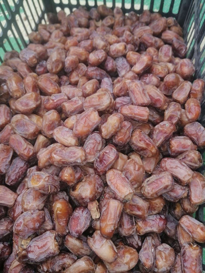 البوابة الشمالية • ١٠٠٨٠م • ماء نهر