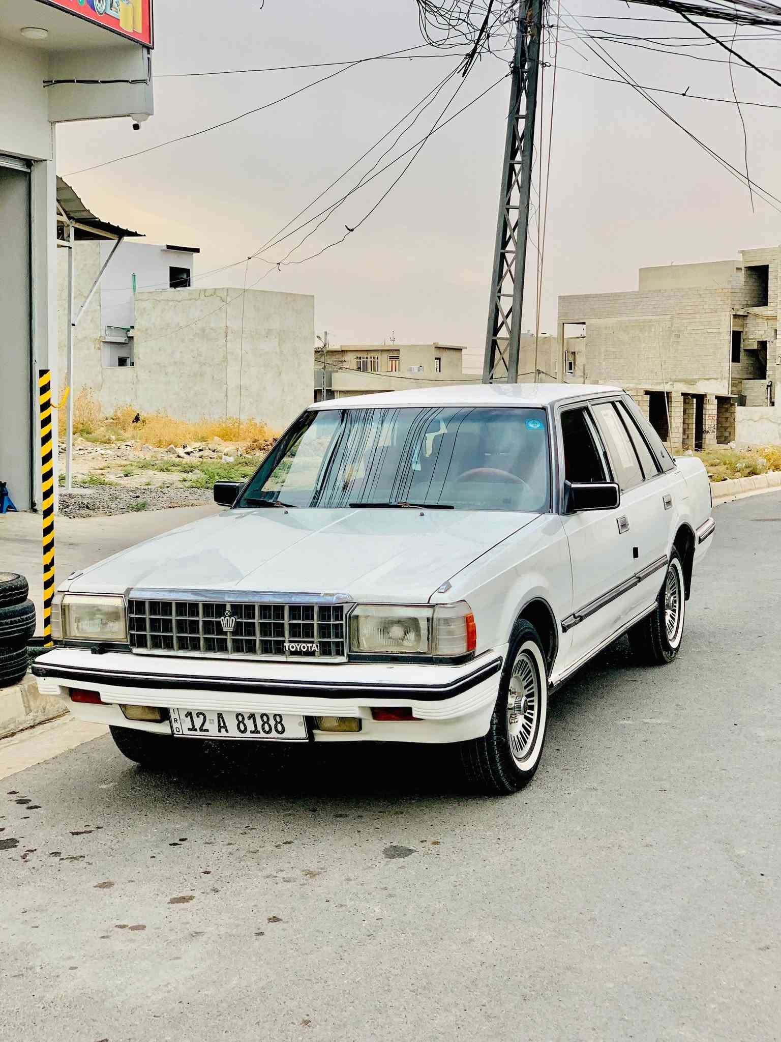 موديل ٨٥ • كير عادي • بدون صبغ