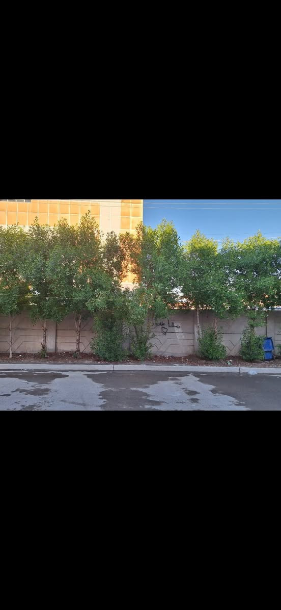 السلام عليكم دار للبيع المساحه ١٥٠متر الواجهه٦ متر النزال ٢٥متر العنوان شهداء البياع محله ٨٧٣ شارع المضخة الثاني شارع العوادي مقابل سياج مدرسة الرياحين يحتوي على غرفه نوم عدد ٤ صاله هول داخلي منور صحيات عدد ٣ بيتونه كراج مطبخ طابو ملك صرف سند مستقل موبايل صاحب الدار للإستفسار الاتصال *********** ،  *********** اسيا واتساب
