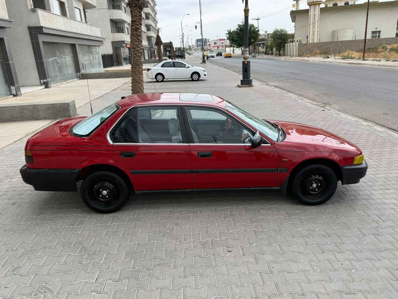 ياباني • بدون صبغ • ١٩٩٢