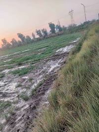 للبيع قطعه ارض طابو زراعي سند 25 مداور المكان قرب سيدنا المنصور ع المس...