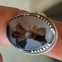 متاح شجري 07730849959