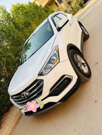 سنتافيا • ٢٠١٨ • رقم اربيل