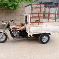 ستوتة • ام الطير • ٢٠١٥