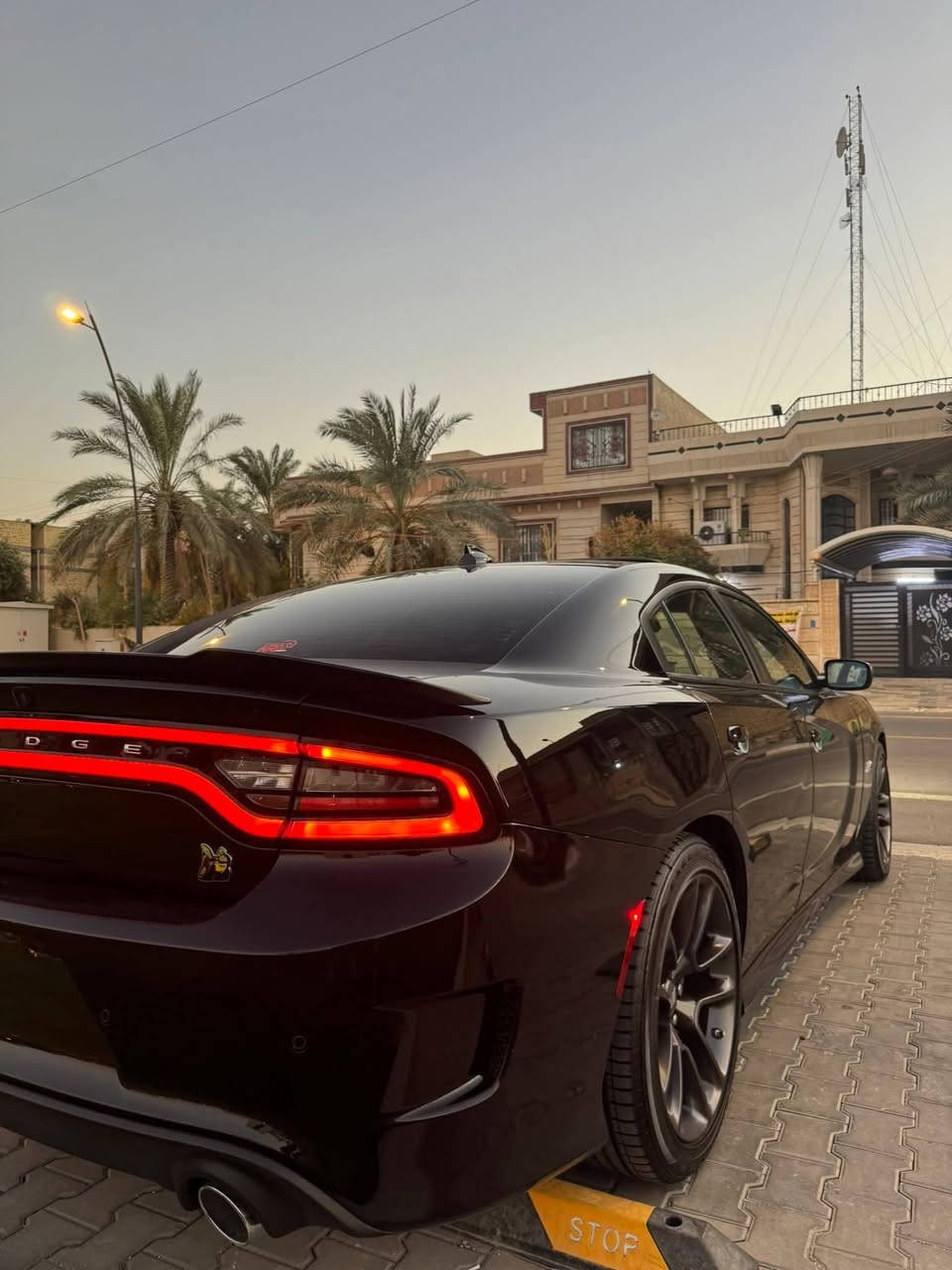 جارجر سكات باك 2023  6.400  last call  ماشية 10 الالاف مايل فول مواصفات رقم بصرة مميز
فتحة سقف رادار امامي وجانبي وخلفي مع ترحيب بالمرايا الجانبية كشنات كنتارة وجلد تدفئة وتبريد والاستيرن تدفئة والكشنات خزن ميموري والدشبول جلد والاكسل قفل والدسكات برمبو 6 بستم وباقي مواصفات الجارجر معروفة
السيارة مفتوح عقلها ومبرمجة سيفتي وعليها ولف حماوة 82 ريسنك والسرعة مفتوحة 300  km
الحادث بس بنيد مبدل 
ومن فحصناها طلع بيها جاملغ الخلفي والتكمة بيها بس صبغ بدون معجون ولابارد والجاملغين الاماميات واحد كلير والثاني بي صبغ كله من امريكا كلير بدون معجون شرط
السيارة بدون ايرباك ولافخذة ولاحدادية ولاشواصي
جارجر سكات باك 2023  6.400  last call  ماشية 10 الالاف مايل فول مواصفات رقم بصرة مميز  
السعر ٢٧٠
***********
