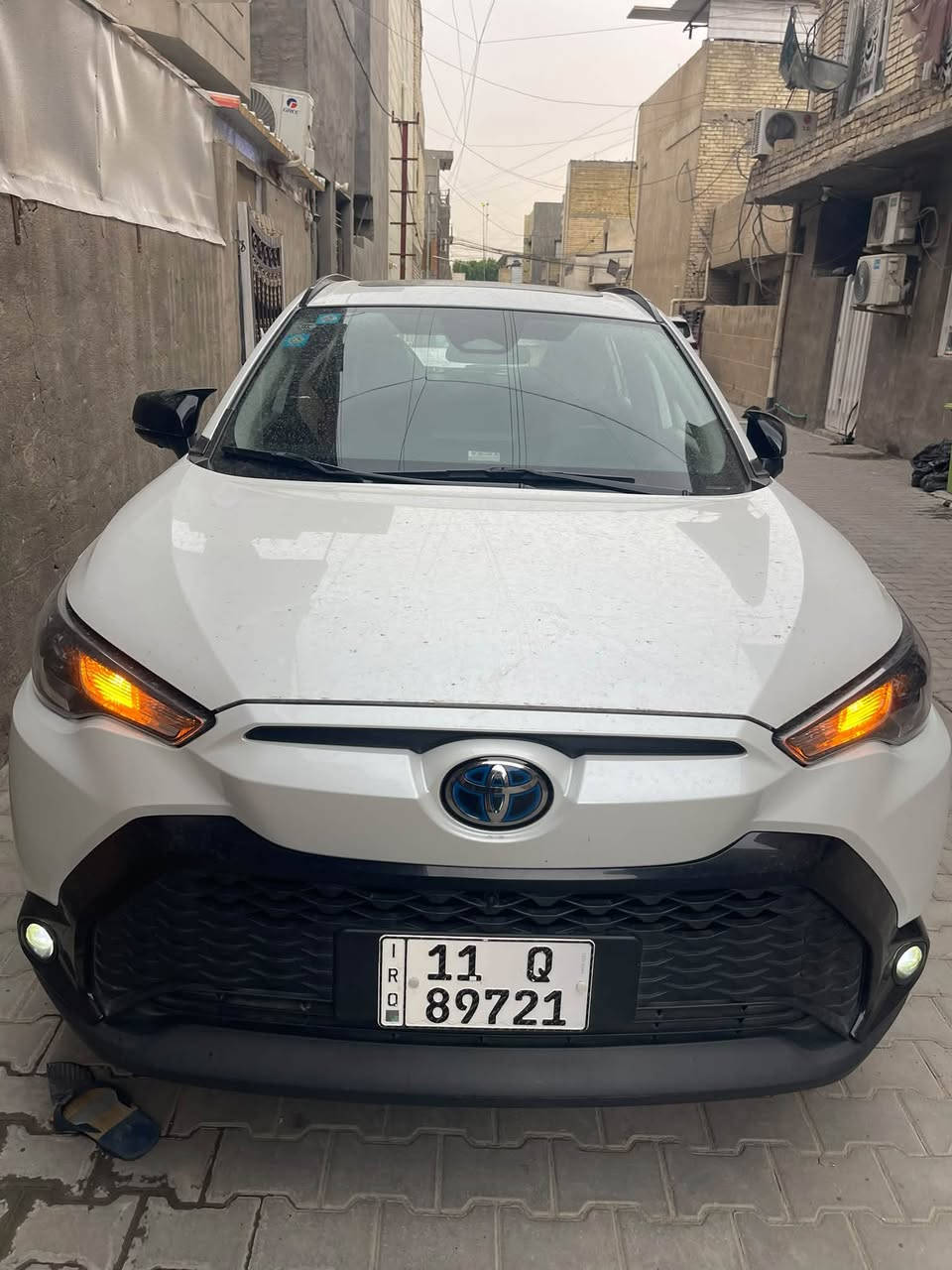 فروت لاندر • ٢٠٢٤ • هايبرد