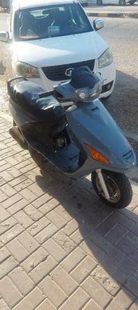 فراشه • فحل • بيه مجال