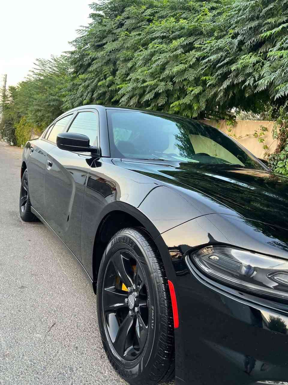 Dodge charger 2017  SXT
دوج چارجر ٢٠١٧ کلین تایتل
مواسەفات sxt
شاشەگەورە
بەصمە
شەخال
دەرگا بەصمە
کوشن کارەبا
حاسە
کامیرا
گێڕو مە کینەی بەشەرت نەکراوەتەوە
بێ بۆیاخو بێ ساردو بێ پارچە گۆڕانە تەنانەت دەعمیەکانیشی بە شەرت بۆیاخی نیە
هەموو گیانی بە شەرت
لە سەر دەقی شەریکە ماوە
دەعمی بۆ دەعمی بە شەرت
شوین سلیمانی 
***********

