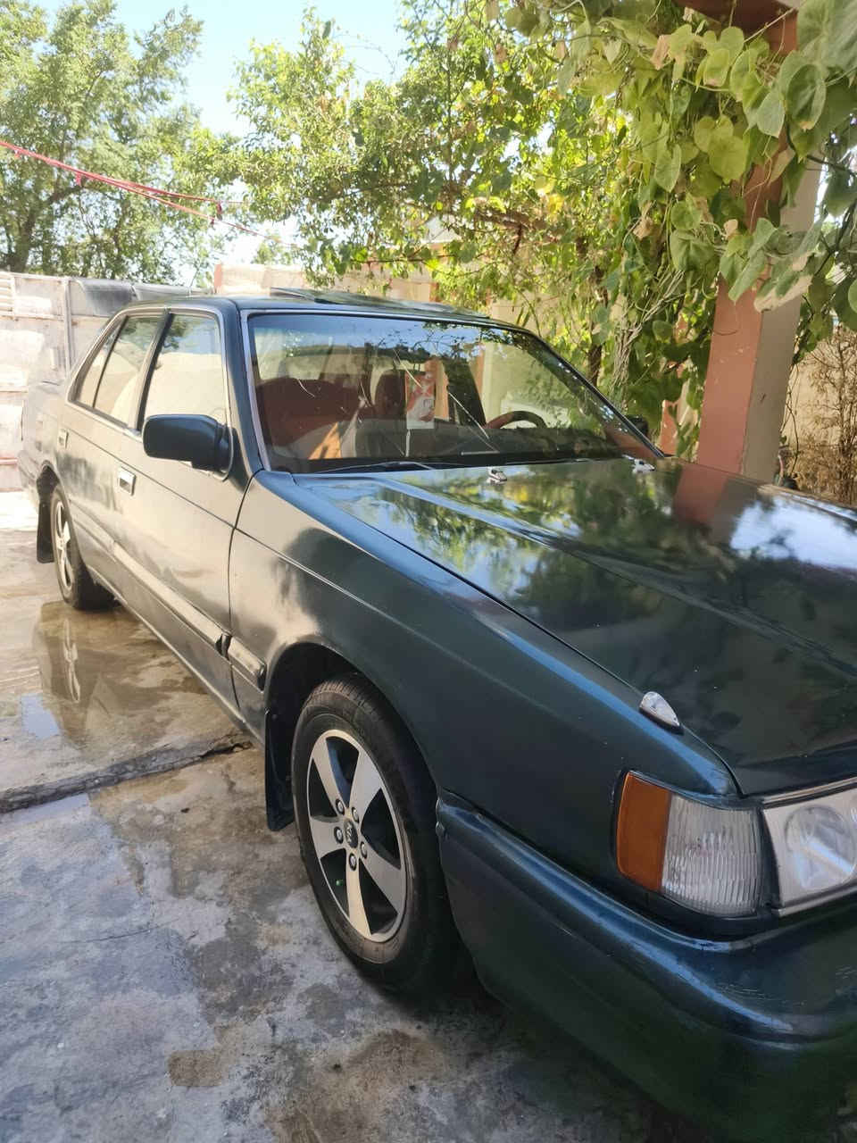 كيا بونتيشا موديل 97
سنويه لل30 رقم ديالى دولي شرط التحويل 
كير ومكينه بلادي حاويه لاصرف ولاتبخير 
تخم تاير وباتري بشرط 
تبريد قطعتين ثلج (بوابه سبلت ) 
صدر امامي خلفي جديد بشرط 
شاشه الكتروني 
مصبوغه عام للجماليه 
جام كهربائي مازدات حاويه 
كهربائيات من الدعاميه للدعاميه شغاله 
من لايت من اشاير من سماعات 
مكانها ديالى المقداديه 
ترهم بيع وترهم مراوس 
السعر 34 وبيها مجال للشراي 
***********
