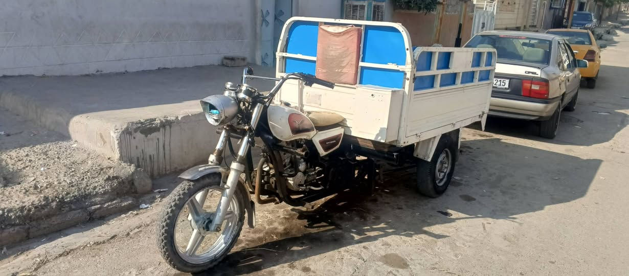 ستوته • موديل ١٧ • منفيس