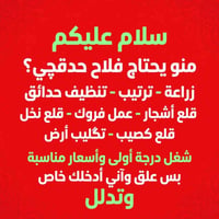 ديوانية • تنظيف حداق • قلع أشجار