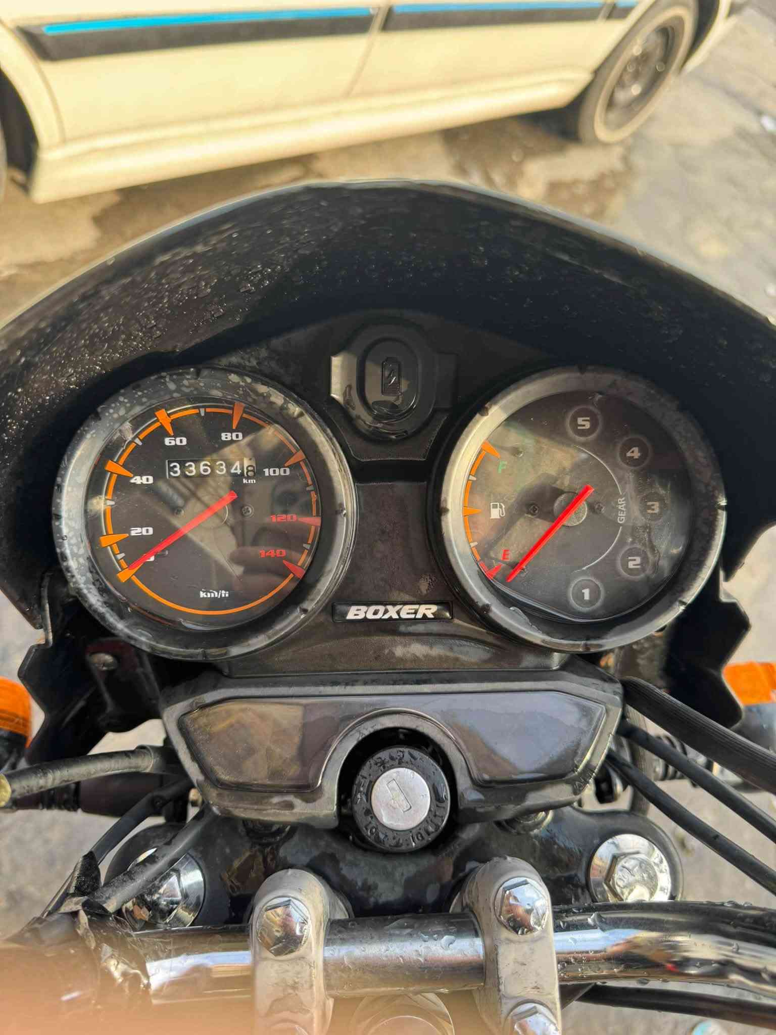 بوكسر • ٢١ • ماشيه ٣٣