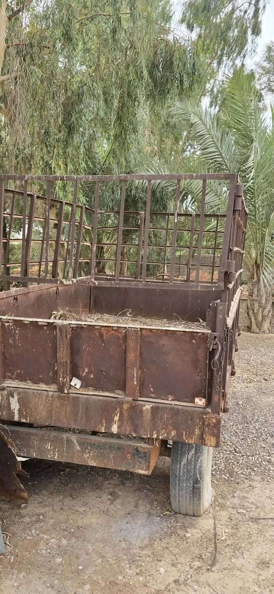 عربانه • فيه مجال • ديالى كنعان