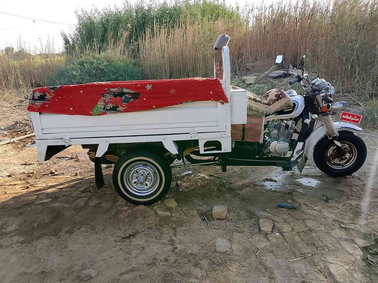 ستوته • الشطره • سعر خاص