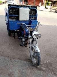 ستوته • ام طير • ٢٠١٩