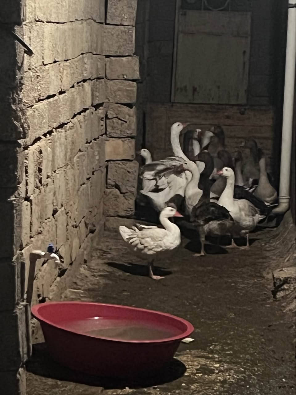 أربيل • للبيع • ئەوقەزانە