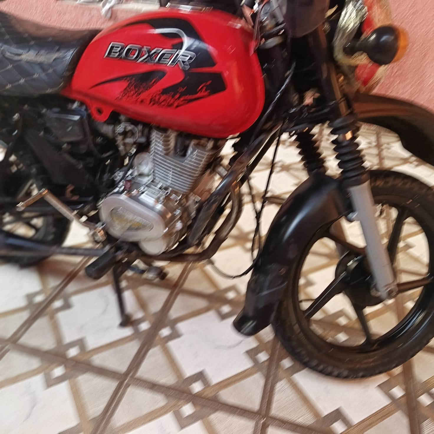 بوكسر • ٢٠١٨ • ستوته