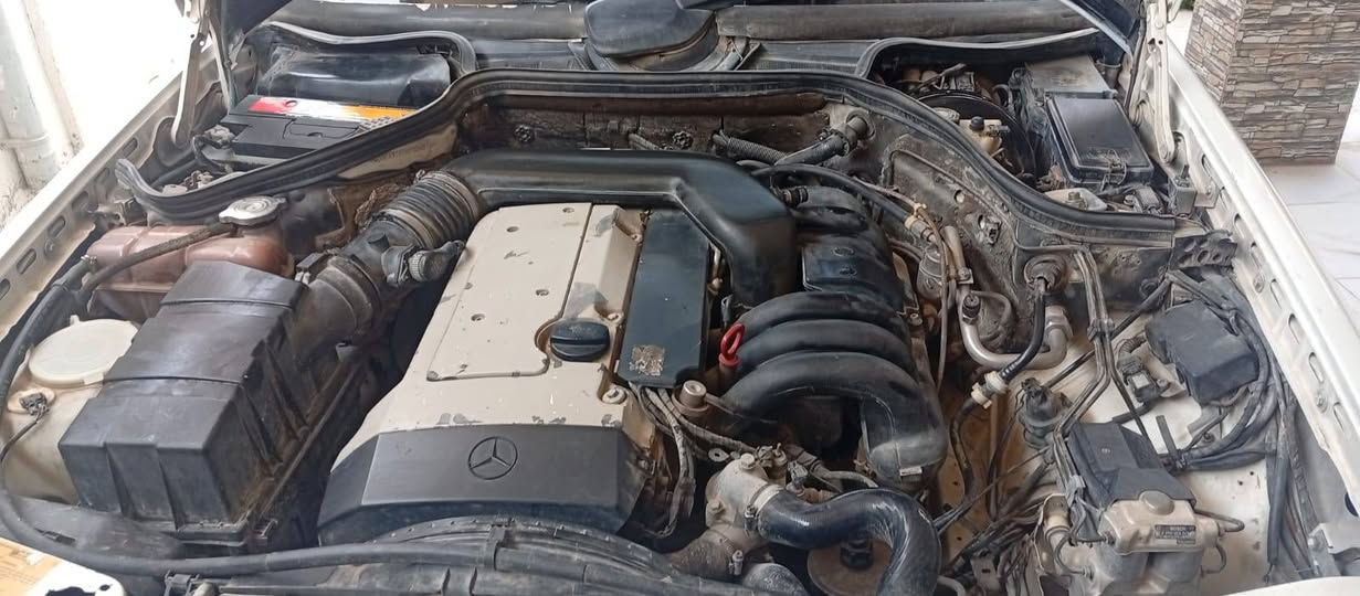 للبيع *********** السعر ٧٨ بغداد بسمي فول مواصفات
