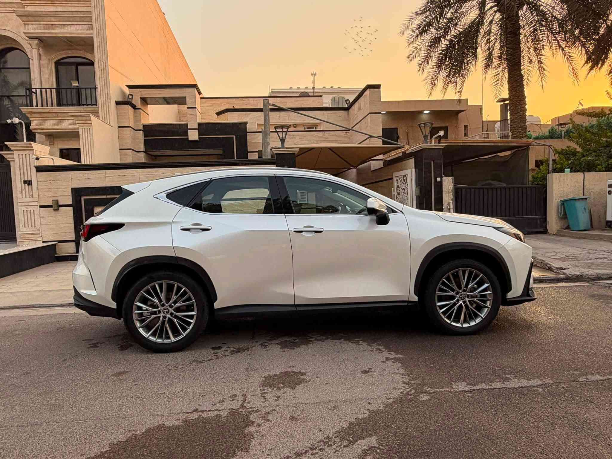 لكزز nx 350 هايبرد 
رقم يغداد
ماشية 6 الاف كيلو فقط
اربع كامرات
داتا شو
فول مواصفات

الضرر حوض سبير وبنيد وجاملغ خلفي مصبوغ
وجنطة مبدلة نفس اللون

السعر 250  ورقة

للتواصل  ***********

بيع  فقط  بدون مراوس
