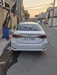 كورلا خليجي • ٢٠٢١ • رقم أربيل