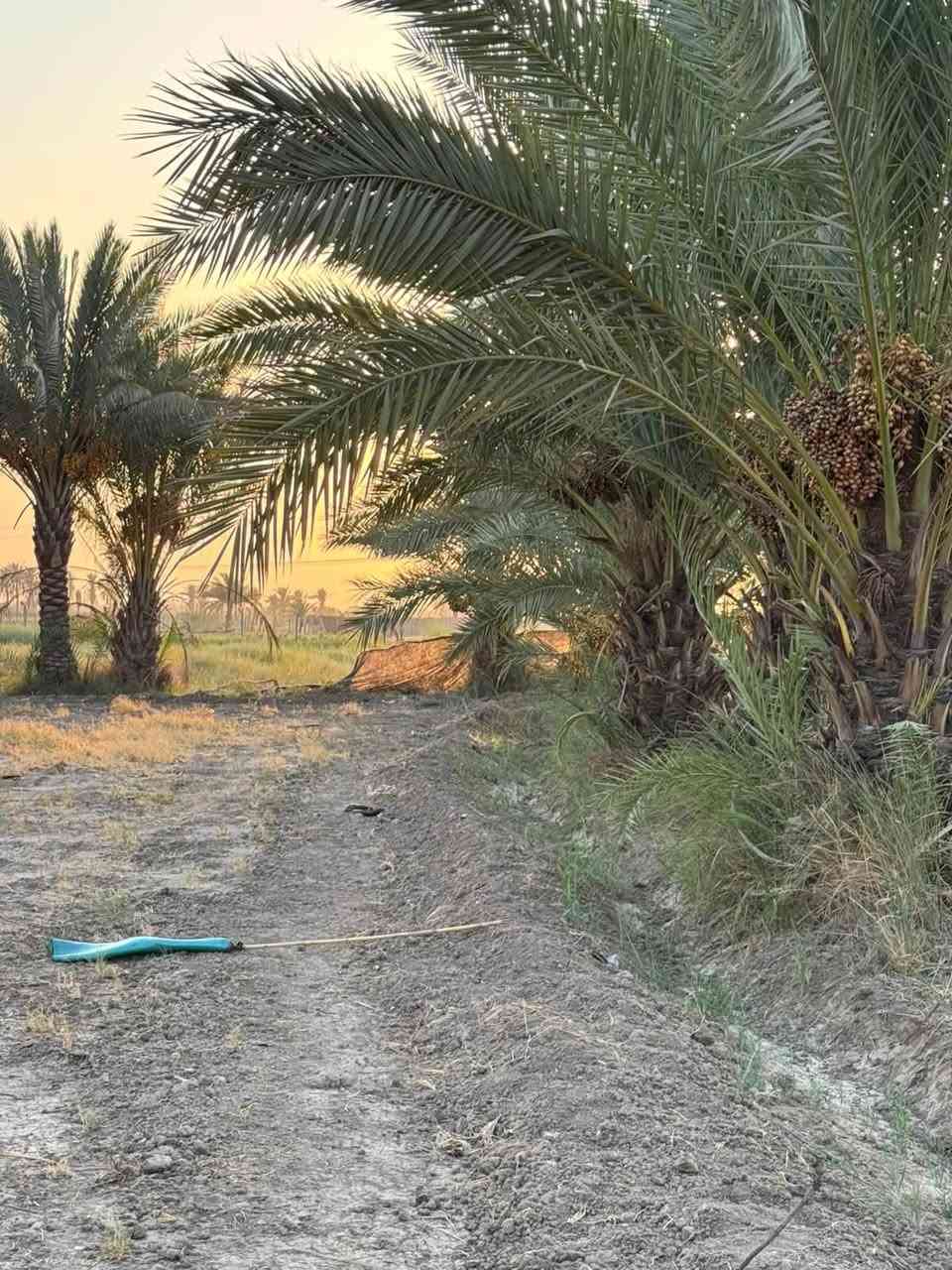 دونم مزرعه للبيع خدمات كامله  خلف جامعه بابل  سند 25 فاتح بيان تحويل مباشر
@السعر مناسب جدا   للاستفسار اكثر 

***********  فائز التميمي
