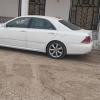 شاهينات • بيع جملة • داخل بيجي ١٨٢