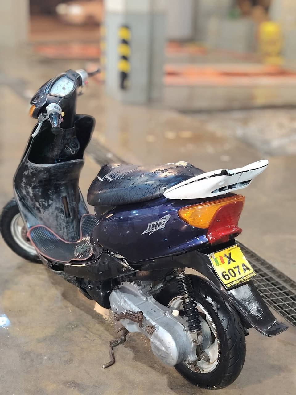 عصفوري • صوت كلجات • البصره