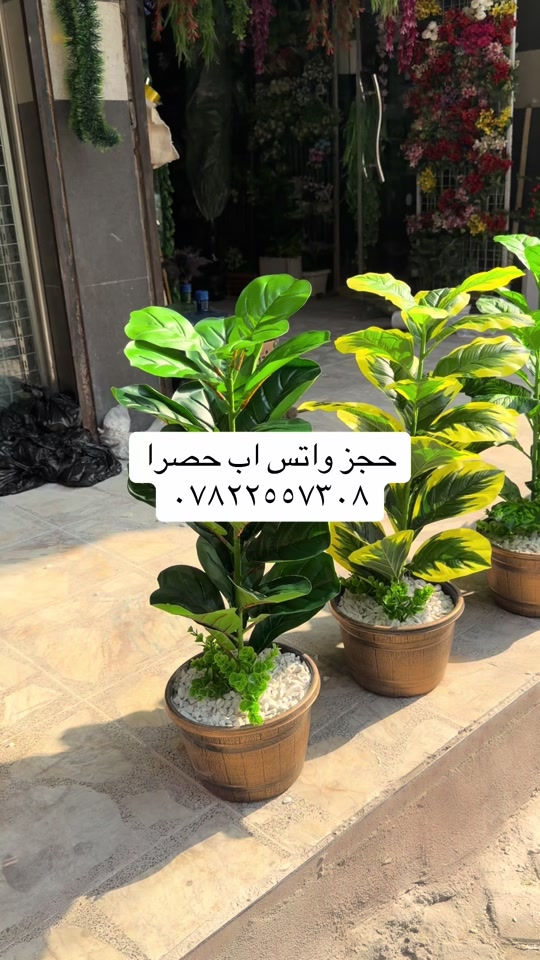 دلع بيتك • توصيل كل العراق • بغداد الغدير