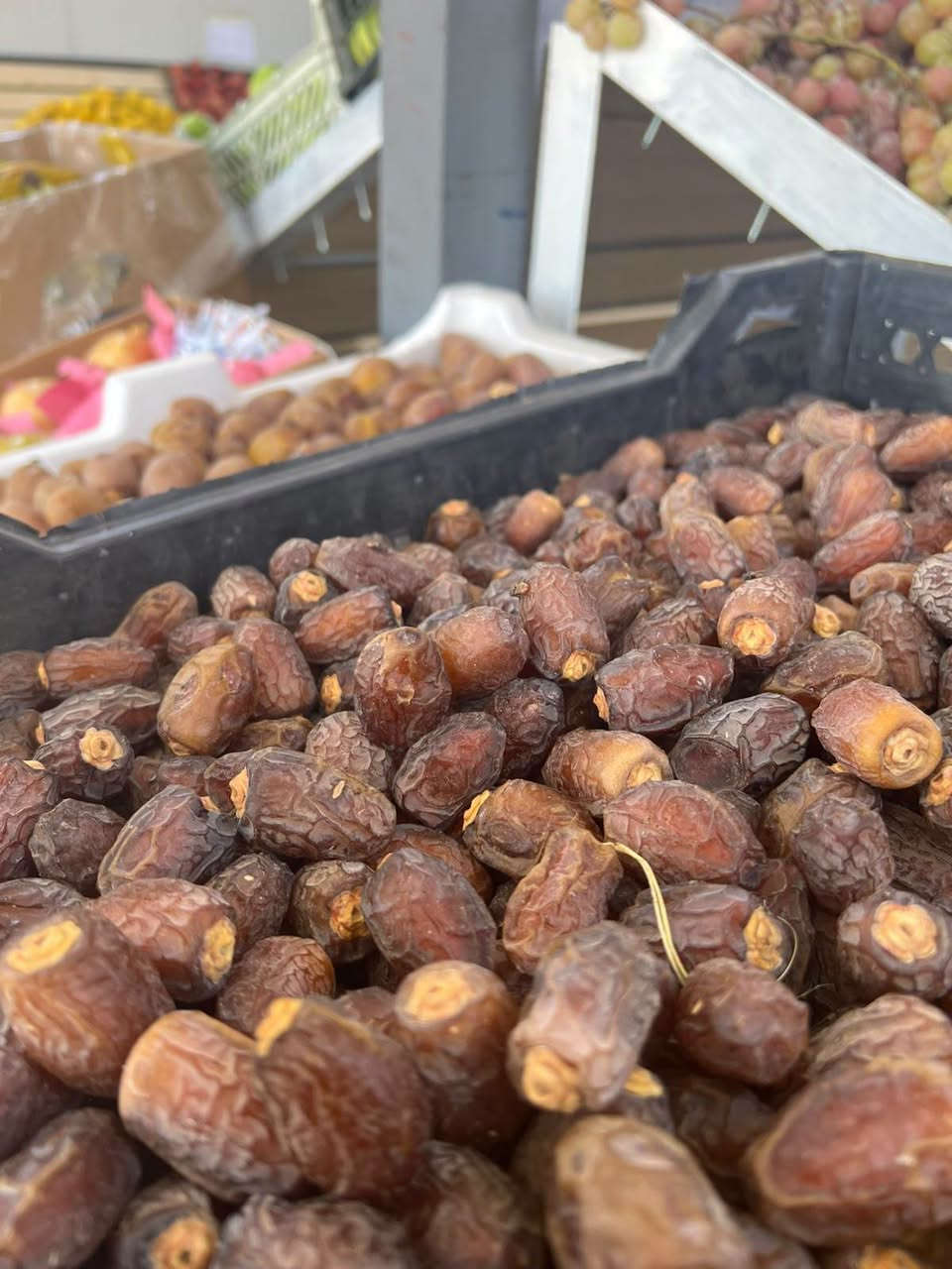 (بسم الله الرحمن الرحيم )
         اسعار يوم السبت
 واتساب 
***********
عروض اليوم
،،،،،،،،
طماطه 750
طماطه  عراقي بنجوين ب 750
خيار  عراقي ب 1000
اسود عراقي ب 750
لهانه حمر ب 1000
لهانه بيظه ب 1000
خـس قطعه ب 1000
بصل اصفر عراقي ب1000
بصل ابيض كرستال 1000
بطاطا عراقيه درجه اولئ ب1000
اسود شمالي ب 1000
جـزر كيس 1500
شجر شمالي  ب  1000
فلفل 🫑 بارد درجه أولى  1000
ثوم شريط ب 1000
باميه 3000
لـوبـيأء 2000
فاصوليأ 2500
ثوم وزن ب 3500
الفواكه،،، 
تين اسود 3000
تمر برحي درجه والئ ب 3500
تمر برحي عثك ب 2000
تمر بريم ناشف درجه والئ ب 5000
ركـي درجه اولى الحكه  750ب3
بطيخ درجه والئ  ب750
عـنب كمالي ب 1500
عـنـب حـلواني ب 1250
موز درجه اولئ  🍌ب 1750
خوخ مسكي عسلي ب1500
خوخ صوفي اردني 1500
خوخ مسكي   ب 1500
رمـان مصري ب 1500
رمان مصري درجه ثانيه ب 1000
رمان يمني ب 3000
رطب  نص ونص ب 2500
تمر  نص ونص 1500
اللوو احمر ب 1500
اللوو  اسود 1500
تفاح خد وخد شمالي ب 1500
تفاح سكري1500
تفاح احمر تركي ب 2000
عرمـوط  ب 2000
لالنكي عسلي  ب 2000
برتقال مصري درجه أولى ب1500
ليمون  اخضر عراقي ب3000
ليمون اخضر سوري ب1500
ليمون إفريقي 🍋 1500
دبس عرب شمسي ب3000
خضرة َ
  مشكل 10  َ 1000
سـلك بـاكـه 1000
شبنت باقه 500
خل ابيض ب 1000
علوة الطائي للخضار والفواكه الطازجة 
عنوانه مقابل خان مندي  بل مدخل خدمي مال بسمايه
