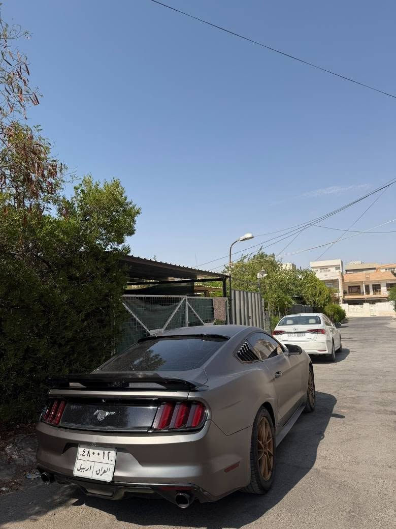 Ford mustang 2016 v4 Ecoboost
سەیارەکە کامل کراوە بە مات زەمانی ٥ ساڵ . مواسەفات کامێرا و کوشن کارەبایی و ٣ گێر و دەشبول ٧ رەنگ سەیارەیەکی تا بڵێی جوان و بێ کێشەیە ١١٠ میل رۆیشتووە گێڕ و مەکینە و تەبرید بە شەڕت مەکینەی گۆڕاوە ٢٠٢١ لەسەر دانراوە بێ کرانەوە . بێ مەسروفە و وەکو لێدران سەیارەکە ٤ پارچەو قنجێکی لە سەقفی هەیە چاکراوەتەوە و بە عام دەیفرۆشم پێشی کەپسە قنجی نیە جەمپەکی پشتی هەیە کەمێک شانسی پشتەوەی گرتووە 

نرخ: 101$ کەمێک مەجالی تێدایە نزیک 7 وەرەقە غەرامەی لەسەرە لە پاش مەعامەلە دەگەڕێتەوە
*********** أربيل, العراق
