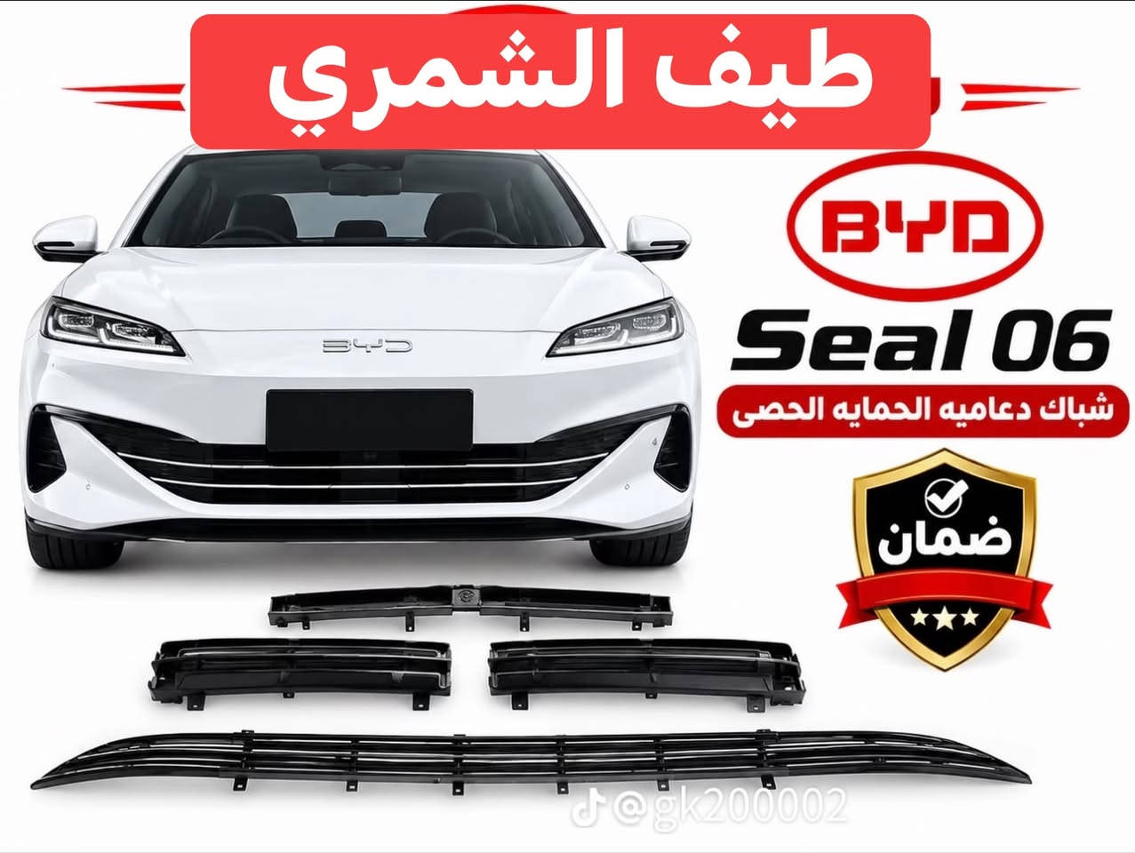 BYD Qin DM-i • شباك راديتر • ٢٠٢٥-٢٠٢٦