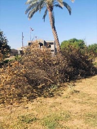 محتاج حطب • طلب حطب