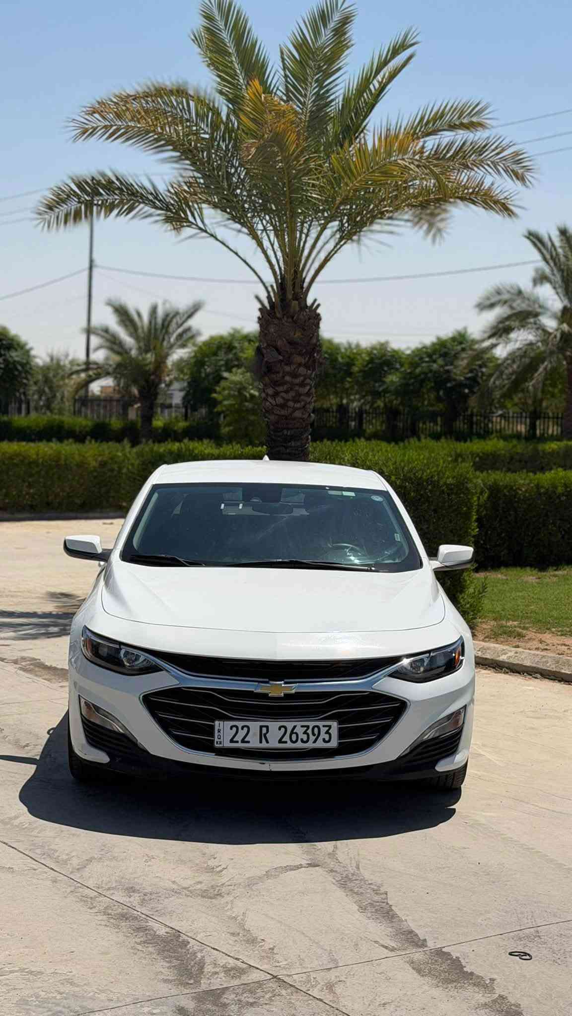 شفروليه ماليبو  LT موديل 2023 بدون صبغ كفاله عامة ايرباك سليم ✅
موصفات:

بصمة  تشغيل عن بعد

ابواب بصمه

شاشة  كاميرا

ردار

نقطة العمياء

تحديد المسار

تحديد السرعة 

كشن كهربائي

تبريد امامي وخلفي

مراوس إذا كان سعر السيارة المقابلة معقول وتكون رقم شمالي فقط      

السعر 133 

واتساب ***********   واتساب ***********

