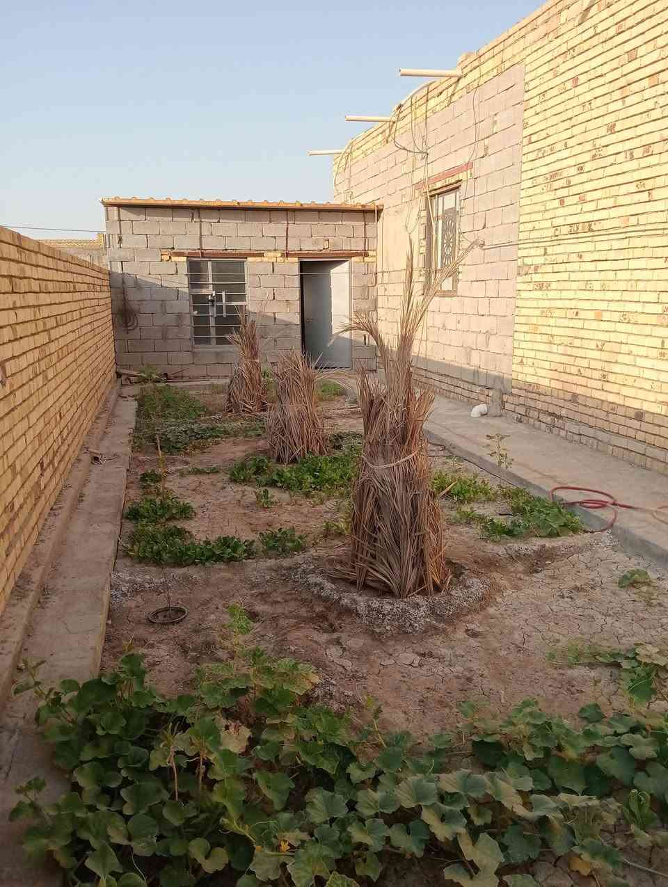 السلام عليكم اخوان بيت للبيع زراعي المساحه 320 خدمات كامله العنوان منطقه البوعظم صوب الشاميه بين الجسرين على طريق الفضليه الاستفسار على الرقم أو واتساب ***********
