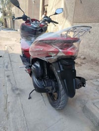 بي سي اکس • جيل اول • كلج فايبرات