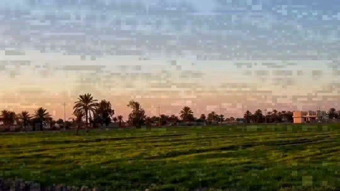 ٢٢دونم • التاجي ذراع دجلة • سند مستقل