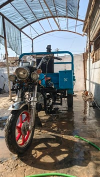 ستوته • مديل ٢١ • كفاله