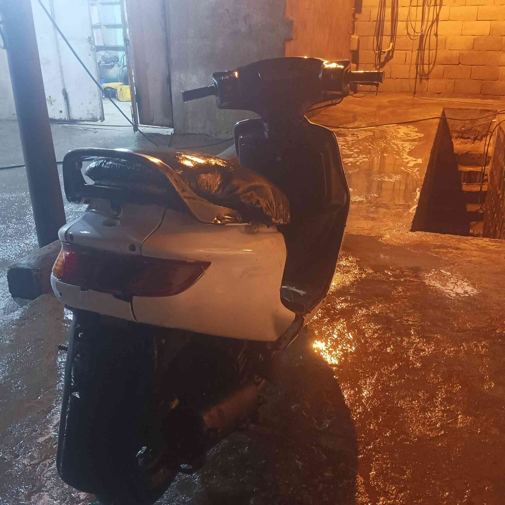 فراشة • نضيف • البصرة