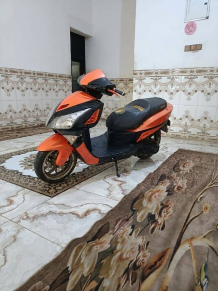 سكنز • ياباني • مامفتوح