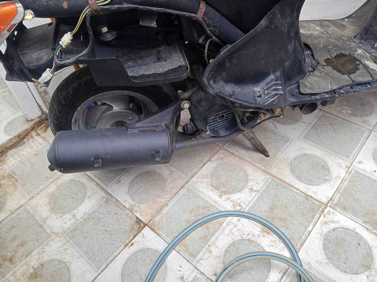 سبيسي • ماليزي • شغاله