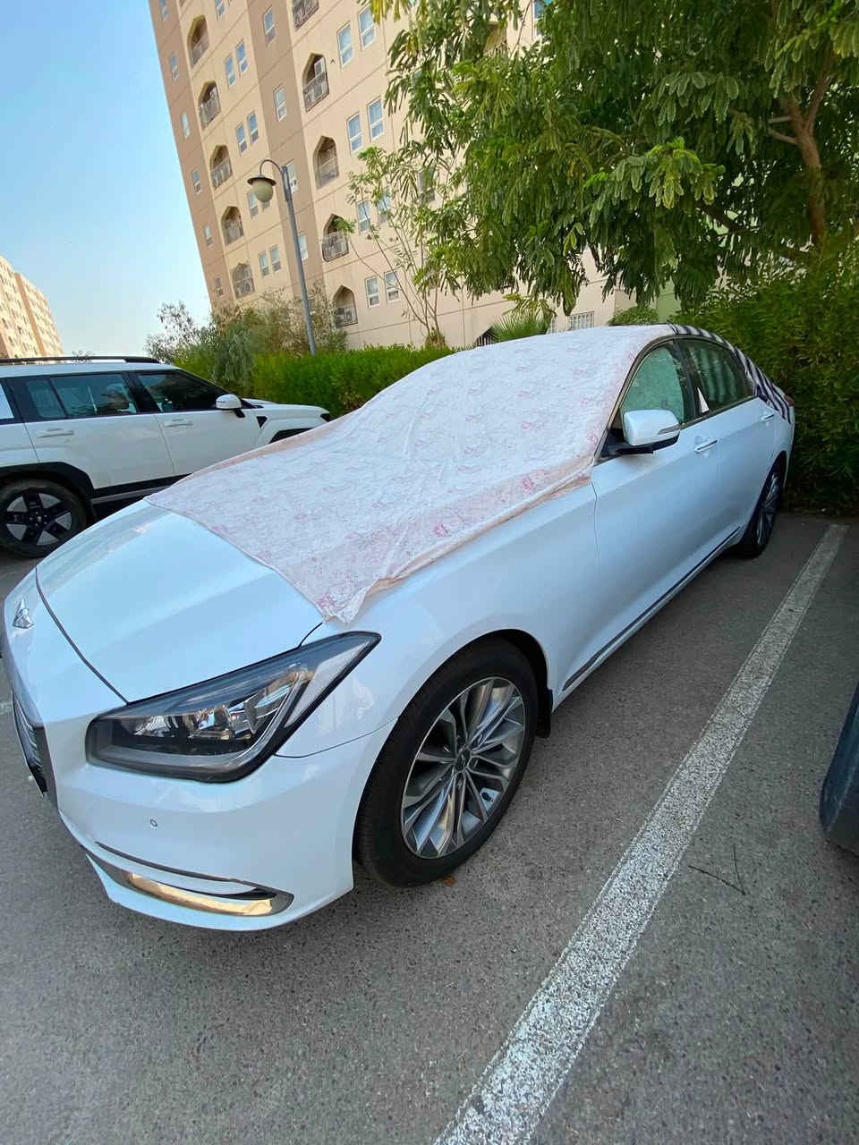 جينسز خليجي للبيع
موديل 15 فول مواصفات 

قطعتين صبغ بنيد وجاملغ (صبغ فقط بدون دواخل)

ماشيه 163 كيلو 

رقم أربيل بأسمي 

محرك مفتوح 

مكاني بغداد 

💵💵💵سعر 150 قفللللللل 💵💵💵

ملاحظة*

سيارة للبيع فقط ماراوس مامتواجد عل إنترنيت 

رقمي ***********
