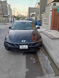 هايبرد • ٢٠٢٥ • بدون صبغ