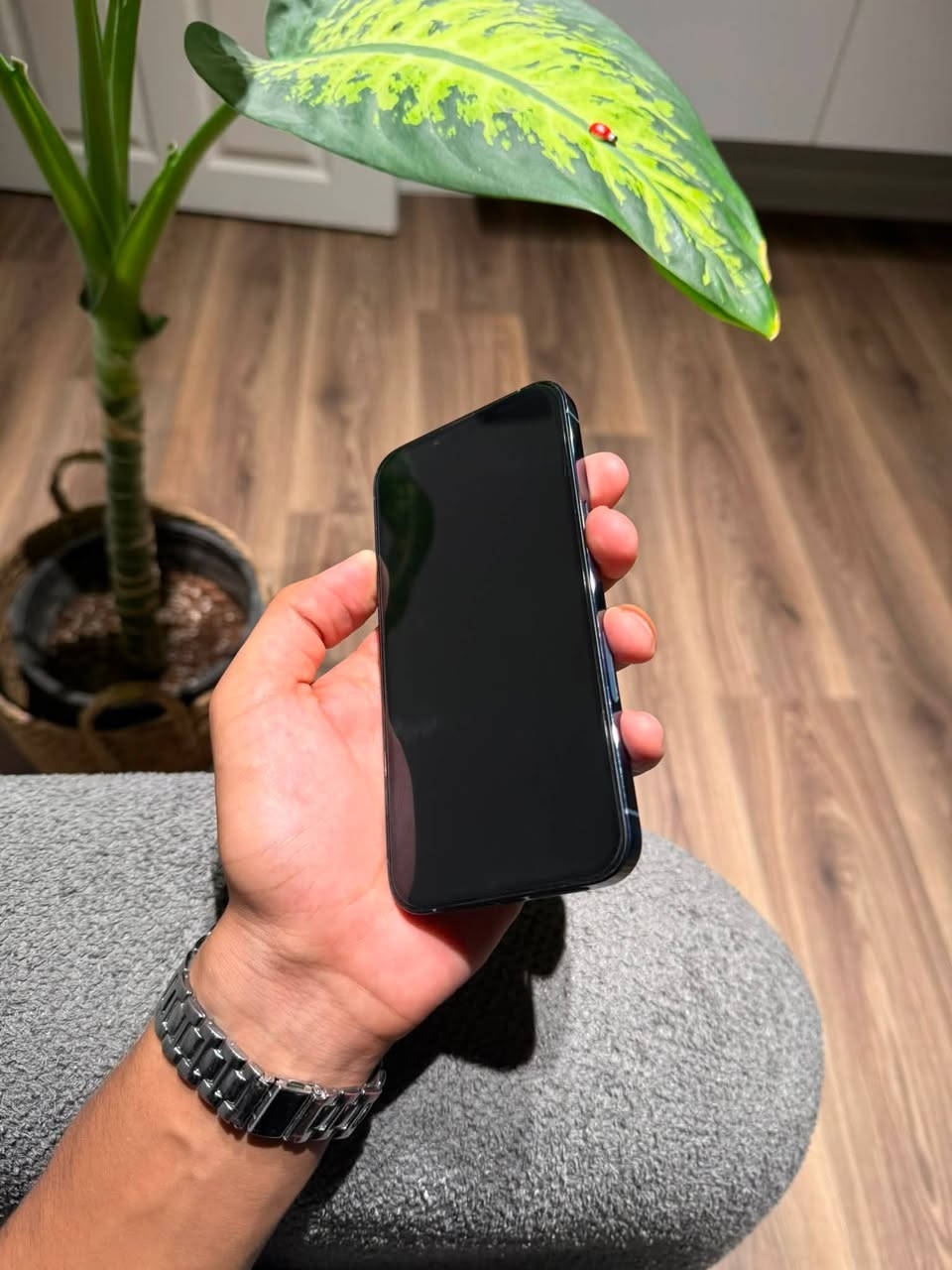 iPhone 13 pro

لون بحري -
ذاكرة 256 -
وتر بروڤ -
بطارية 100 -
أمريكي -
شاشة 3 خيارات -
فيس ايدي شغال -
نضافة 100‎%‎ -

الجهاز شخط مابي 

ملاحظة // فقط البطارية معلاية غير البطارية مابي ايشي 
وصرفة كلش طبيعي 

للاستفسار خاص او الاتصال -
☎️ ***********
