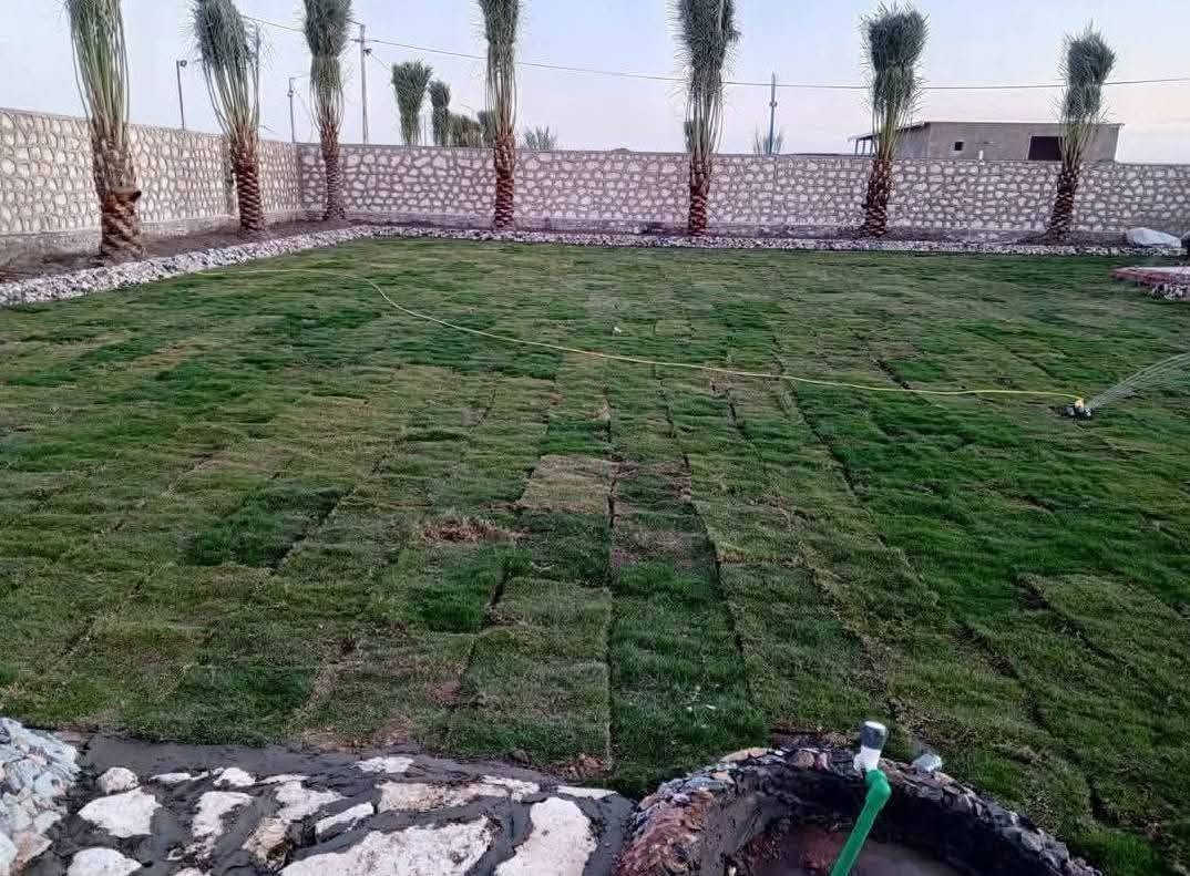 فسائل نخل • برحي خستاوي • توصيل محافظات